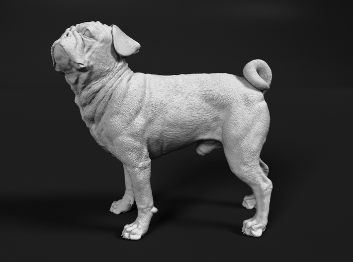 miniNature's 3D printing animals - Update May 20: Finally Hyenas and more - Page 15 710x528_32162495_17025396_1595458586