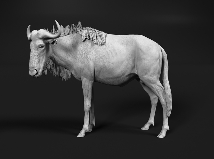 miniNature's 3D printing animals - Update January 5: multiple new models and appearance on Dutch tv - Page 18 710x528_33888979_11744712_1611694604_1_0