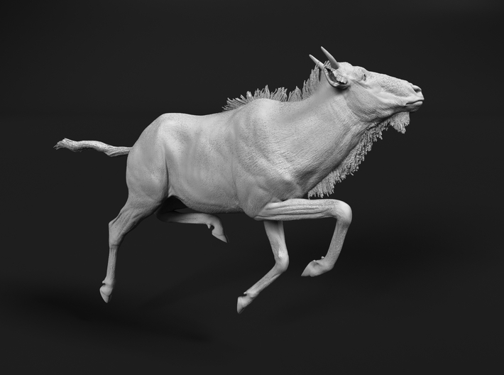 miniNature's 3D printing animals - Update January 5: multiple new models and appearance on Dutch tv - Page 18 710x528_34078666_17946903_1613678932_1_0