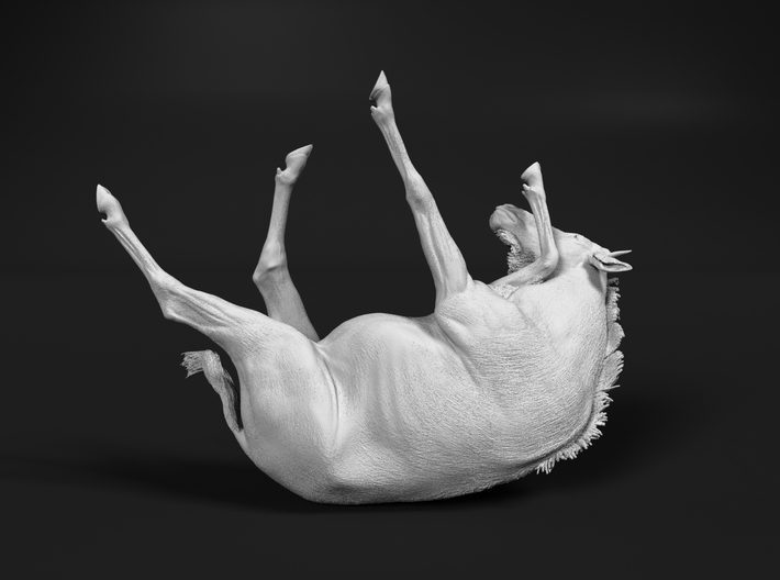 miniNature's 3D printing animals - Update January 5: multiple new models and appearance on Dutch tv - Page 18 710x528_34112931_17963108_1613840646_1_0