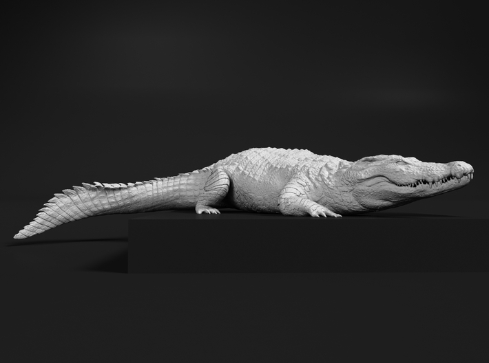 miniNature's 3D printing animals - Update January 5: multiple new models and appearance on Dutch tv - Page 18 710x528_34160720_17985196_1614284627_1_0