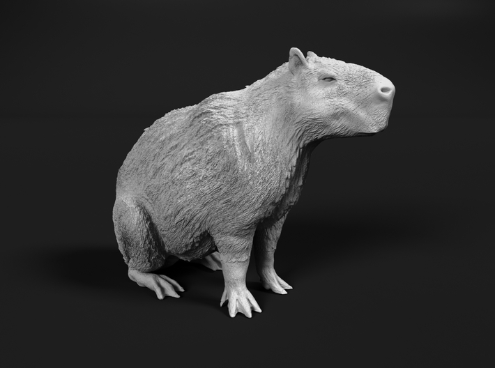 miniNature's 3D printing animals - Update January 5: multiple new models and appearance on Dutch tv - Page 18 710x528_36574186_19192997_1639845073_1_0