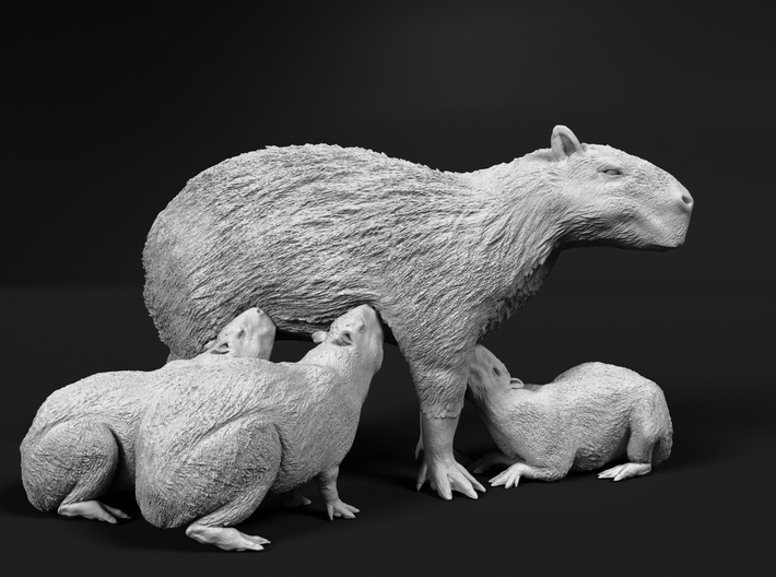 miniNature's 3D printing animals - Update January 5: multiple new models and appearance on Dutch tv - Page 18 710x528_36574814_19193291_1639852499_1_0
