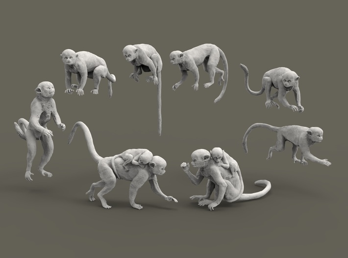 miniNature's 3D printing animals - Update May 20: Finally Hyenas and more - Page 19 710x528_38436323_20415328_1675117426_1_0