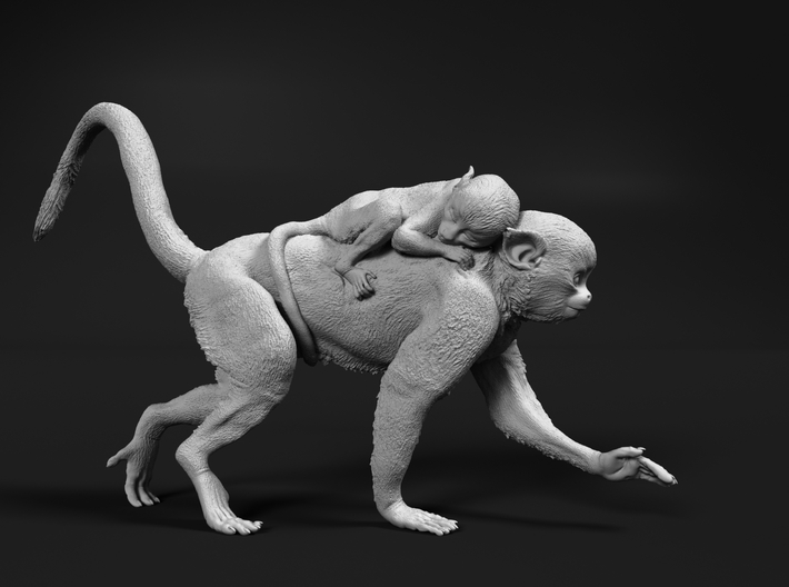 miniNature's 3D printing animals - Update May 20: Finally Hyenas and more - Page 19 710x528_38442134_20418216_1675197028_1_0